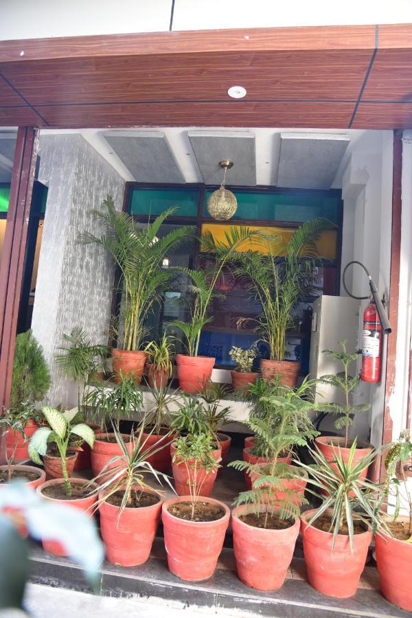 Hotel Royal Sunshine Jaipur Ngoại thất bức ảnh